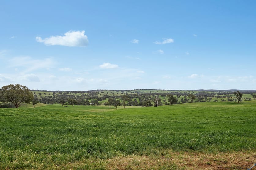 Click to view all images 5902 Mitchell Highway Molong NSW 2866 - Image 3