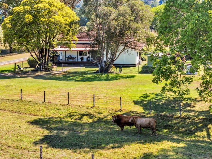 Click to view all images 1078 Keerrong Road Keerrong NSW 2480 - Image 3