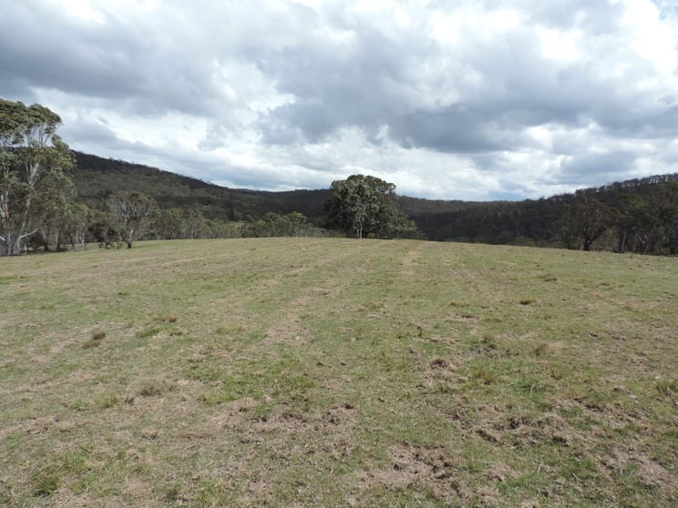Click to view all images 1434 Jerrong Road Wiarborough NSW 2580 - Image 2