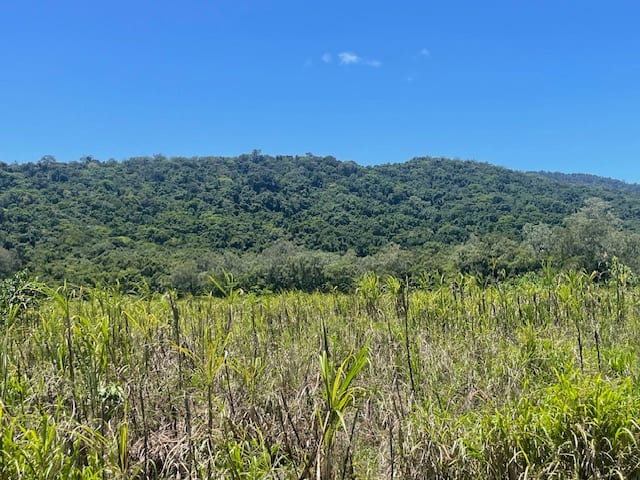 Click to view all images 12 Pine Creek - Yarrabah Road East Trinity QLD 4871 - Image 3