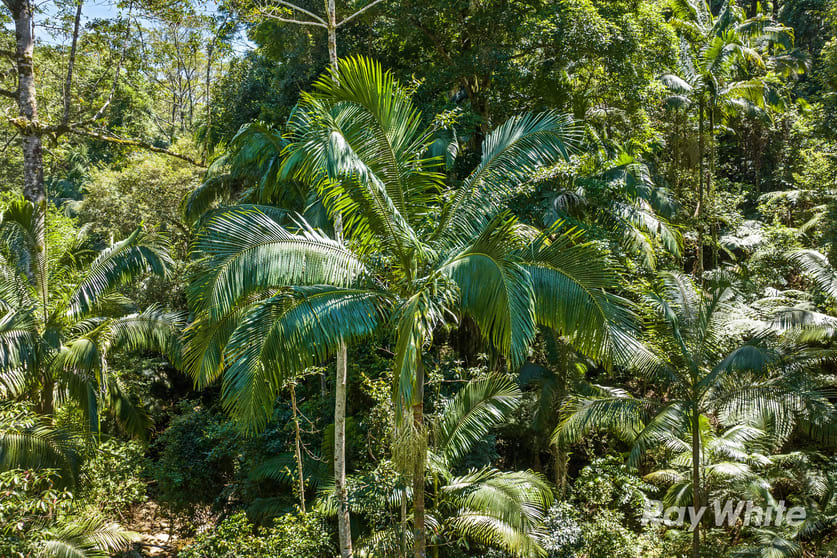 Click to view all images 131 Porters Road Upper Crystal Creek NSW 2484 - Image 3
