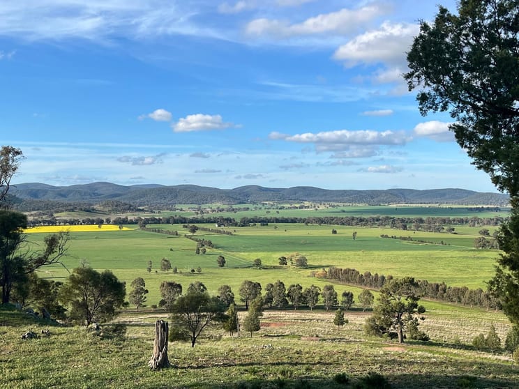 Click to view all images 92 Campbells Lane Canowindra NSW 2804 - Image 1