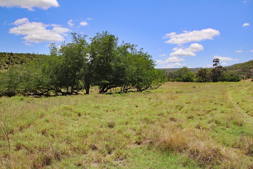 Thangool QLD 4716 - Image 3