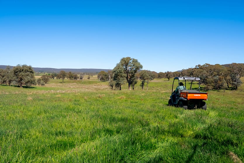 Lots 1, 68, 92, 166 Taralga Road, Tarlo Via Goulburn NSW 2580 - Image 3