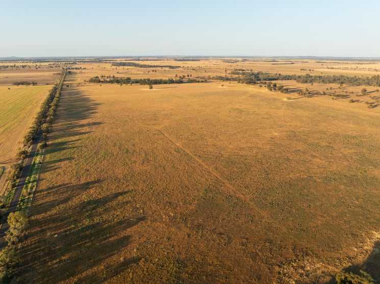 Click to view all images Motherleigh 98 The Grange Road Peak Hill NSW 2869 - Image 3