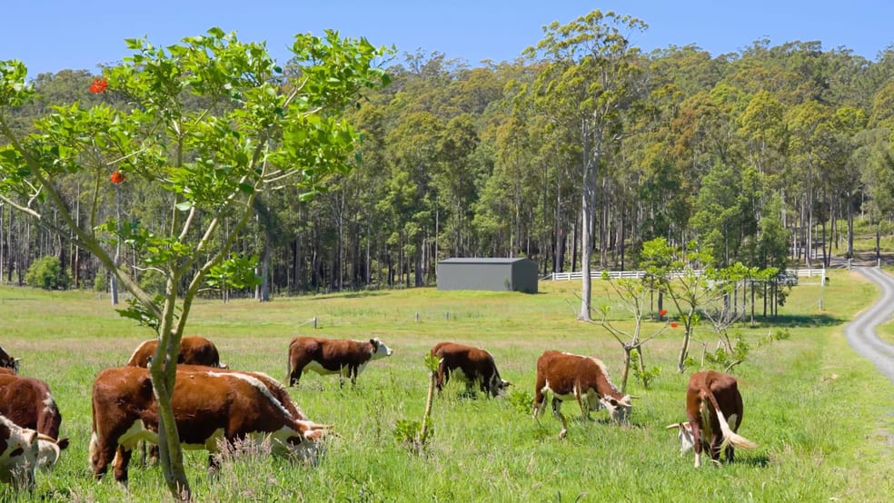 41/271 Lemon Tree Creek Road Termeil NSW 2539 - Image 2