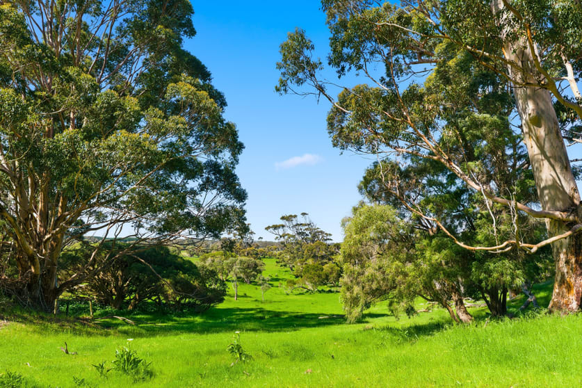 Click to view all images 10665 Caves Road Deepdene WA 6290 - Image 2