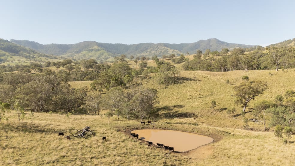 Click to view all images 'East Toombimba' Kars Springs via Scone NSW 2337 - Image 1