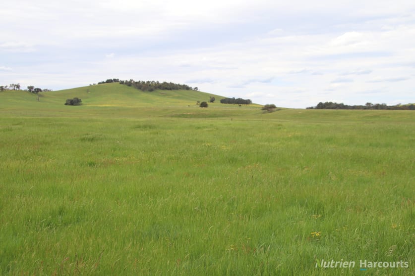 Click to view all images Lots 2 & 3 Blackbottom Road Langi Kal Kal VIC 3352 - Image 3
