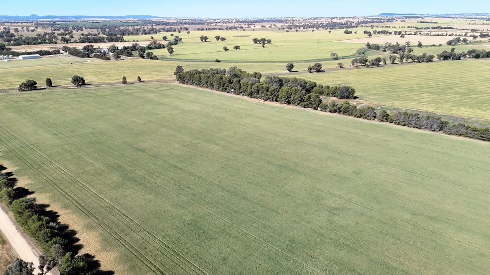 Click to view all images 1063 Old Forbes Road Young NSW 2594 - Image 3