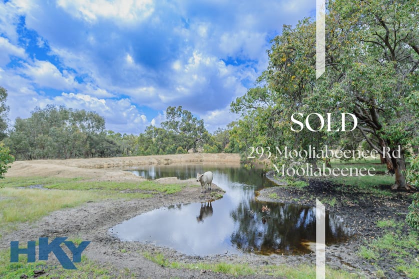 293 Mooliabeenee Road Mooliabeenee WA 6504 - Image 1