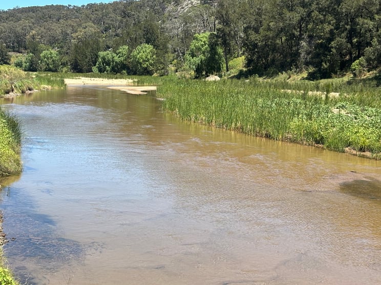 2080 Bylong Valley Way Baerami NSW 2333 - Image 3