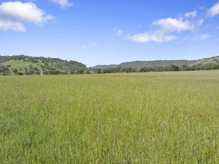 Click to view all images 1477 Mansfield-Whitfield Road Bridge Creek VIC 3723 - Image 2