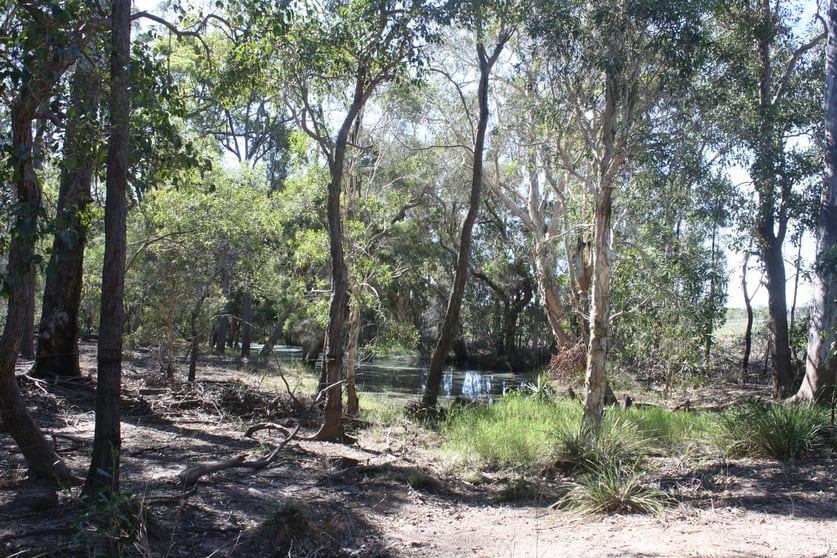 Click to view all images 13/ Barnards Road Moorland QLD 4670 - Image 2