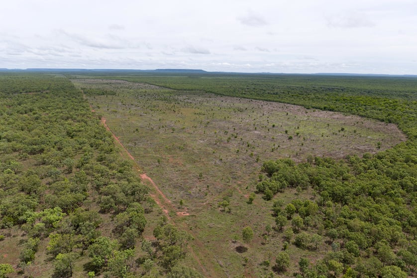 Douglas-daly NT 0822 - Image 3