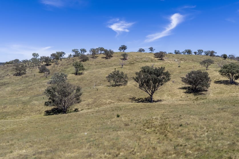 Lots 46 & 70, 499 Mebul Road Gulgong NSW 2852 - Image 3