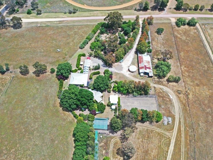 Click to view all images 20 Quamby SS Road Young NSW 2594 - Image 2