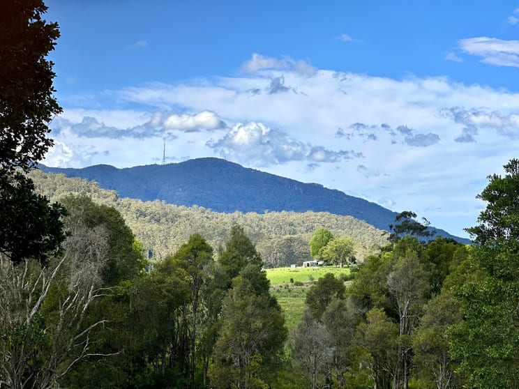 957 Hannam Vale Road Hannam Vale NSW 2443 - Image 2