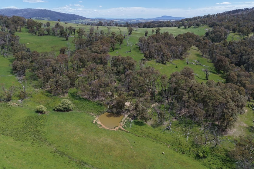954 Courabyra Road Tumbarumba NSW 2653 - Image 2