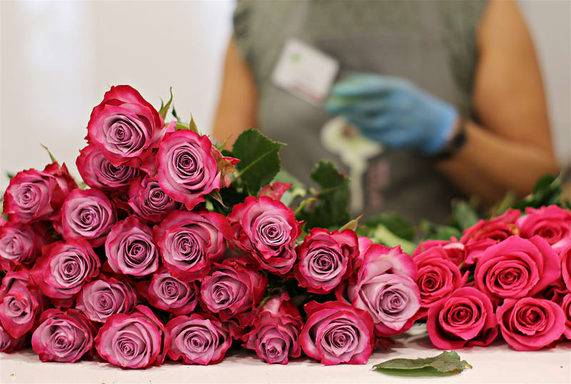 Florist / Nursery  business for sale in Murray Bridge - Image 3