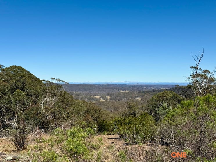 Lots 113 & 114 Kydra Firetrail Greenlands Road Greenlands NSW 2631 - Image 3