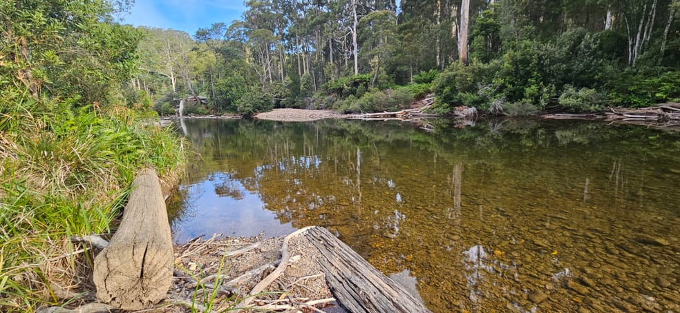 Click to view all images 252 Harveys Road North Motton TAS 7315 - Image 2