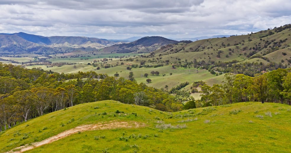 Lot 3 - 289 Tongio Gap Road Tongio VIC 3896 - Image 2