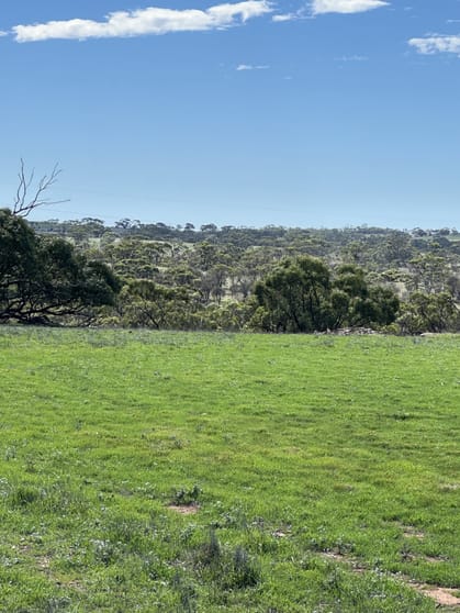 Click to view all images Lot 1 Highland Road Monarto SA 5254 - Image 3