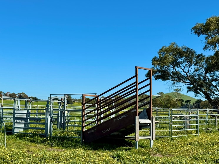 Click to view all images Old Depot Lane Mortlake VIC 3272 - Image 3