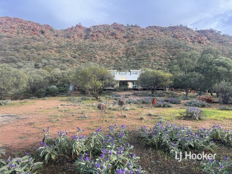Click to view all images 989 Ilparpa Road White Gums NT 0870 - Image 1