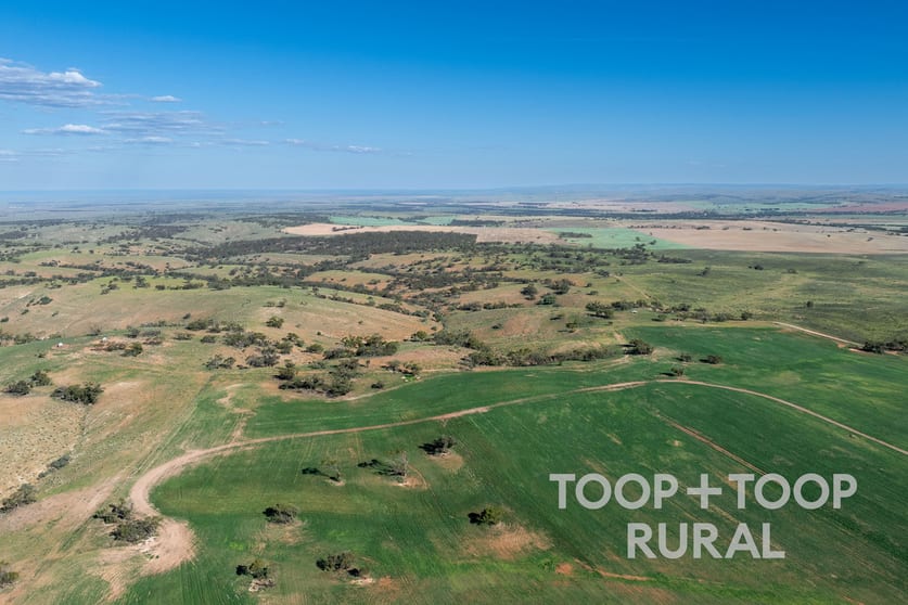 Goyder Road Frankton SA 5374 - Image 1