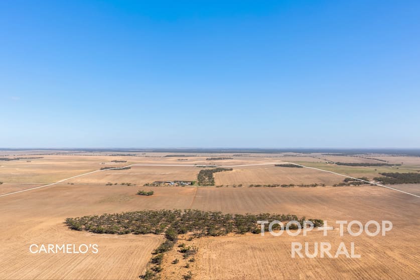 Click to view all images Church Road Copeville SA 5308 - Image 1