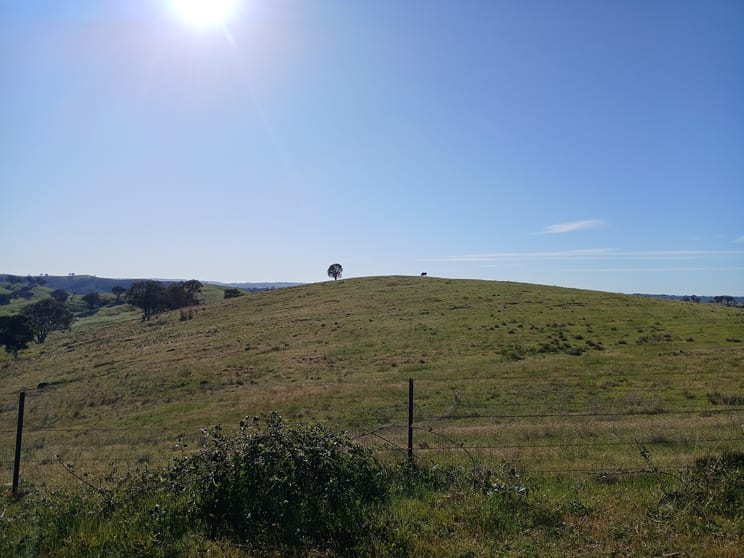 Click to view all images Lot 161 Eldridges Lane Taylors Flat NSW 2586 - Image 2
