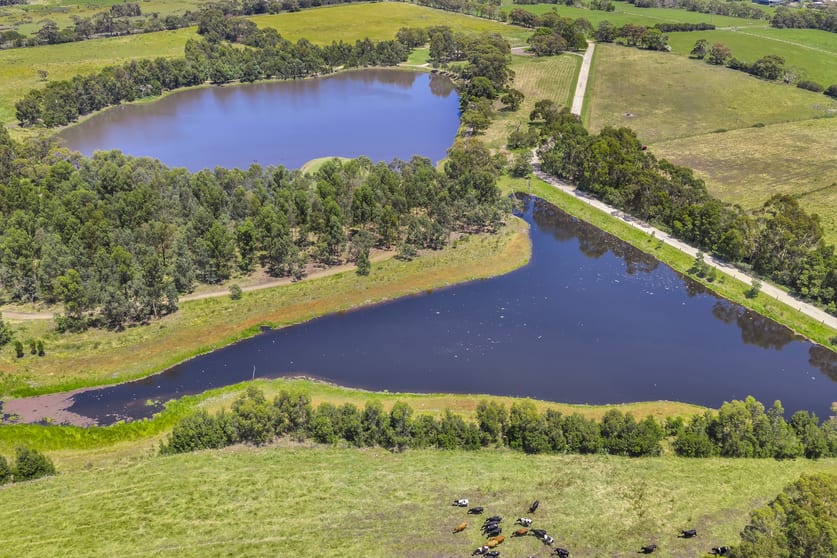Click to view all images 2185 Dalyston-Glen Forbes Road Glen Forbes VIC 3990 - Image 3