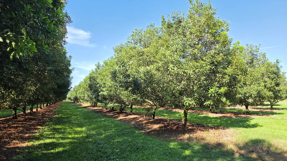Click to view all images 389 Teven Road Teven NSW 2478 - Image 2
