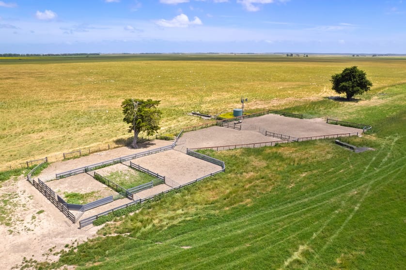 Click to view all images Lot 55 Princes Highway Millicent SA 5280 - Image 3