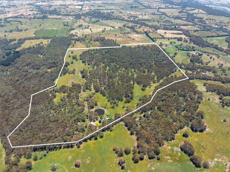 Click to view all images Terip Terip VIC 3719 - Image 3