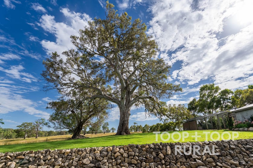 Click to view all images 70 Scottsburn Road Woodside SA 5244 - Image 2