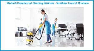 Professional Services  business for sale in Sunshine Coast Greater Region QLD - Image 1