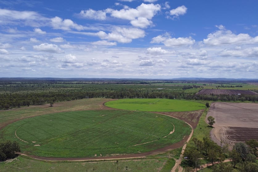220 Dingles Road Dixalea QLD 4702 - Image 3