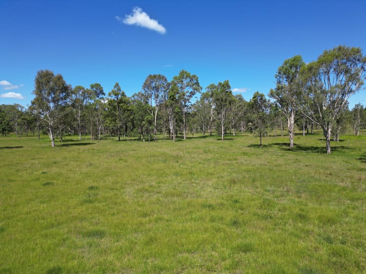 Click to view all images 885 Tatham Ellangowan Road Ellangowan NSW 2470 - Image 2