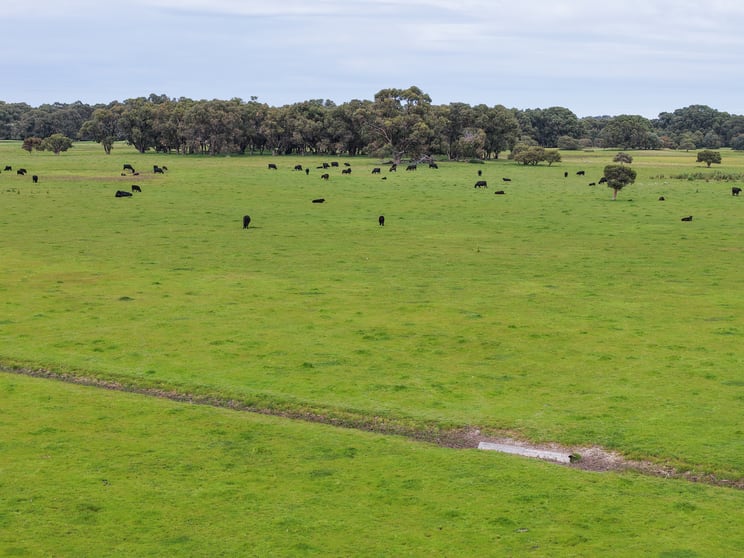 1498, 1504 Harris Road Myalup WA 6220 - Image 3
