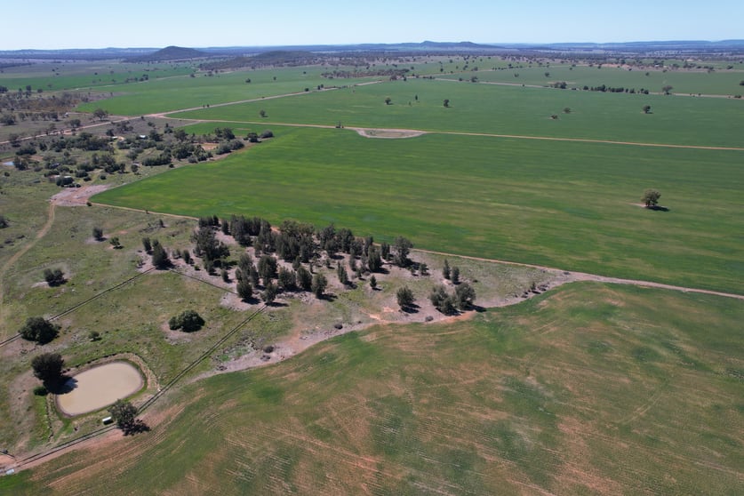 Click to view all images 120 Ganantagi Road Yarrabandai NSW 2875 - Image 3