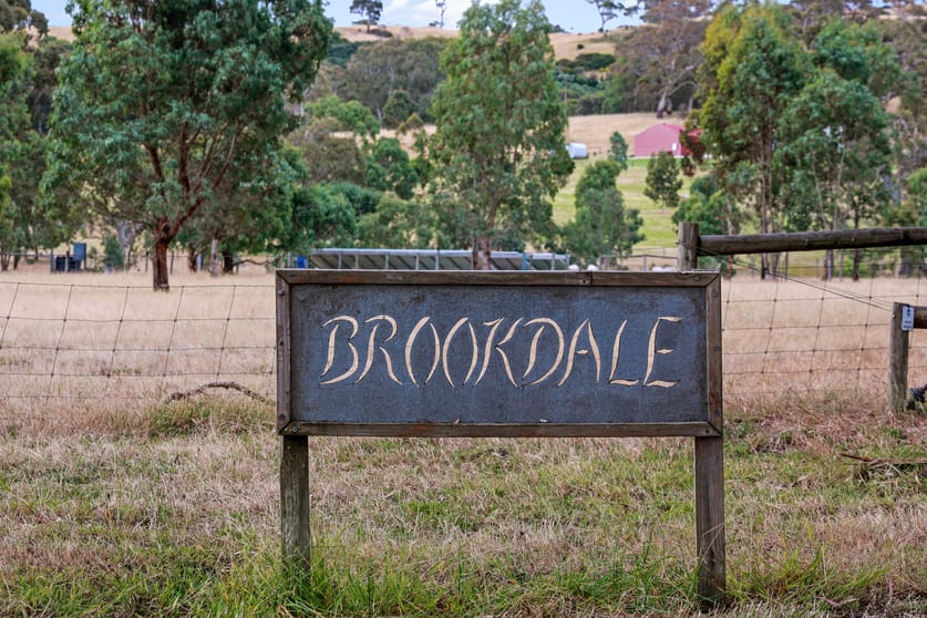 203 Nettle Hill Road Hindmarsh Valley SA 5211 - Image 3