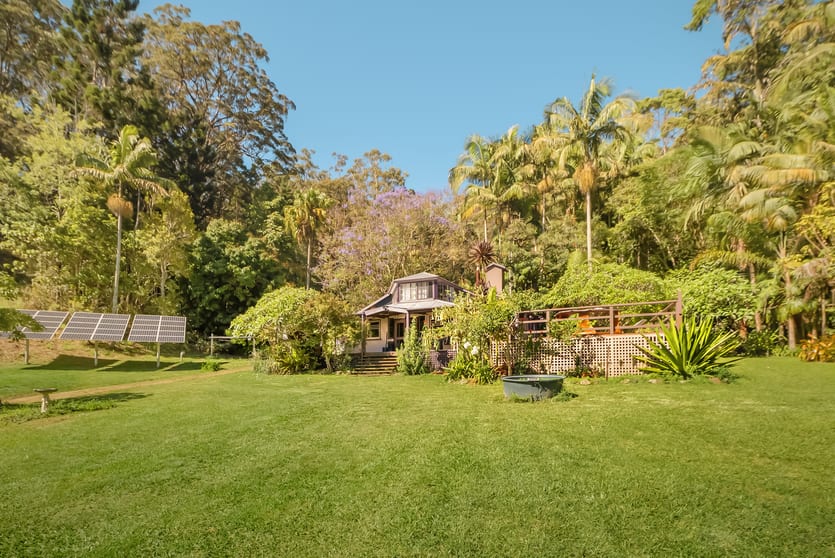 197 Tree Fern Road Mount Warning NSW 2484 - Image 3