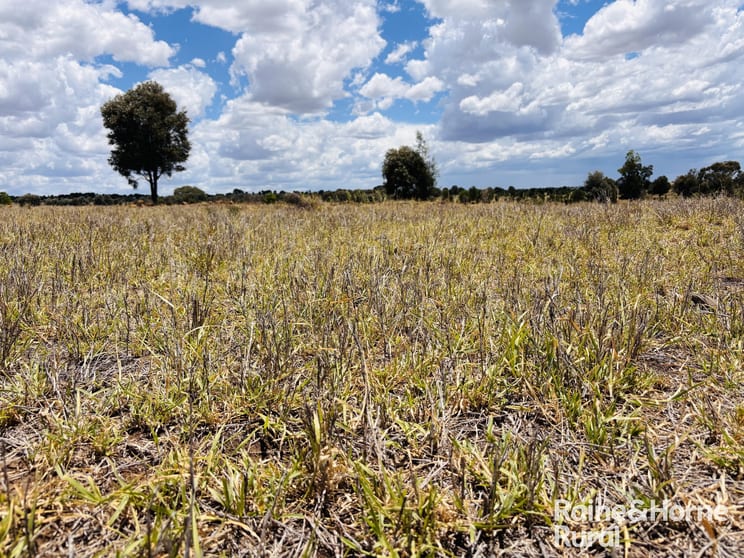 Click to view all images 330 Burrow Downs Road Injune QLD 4454 - Image 1
