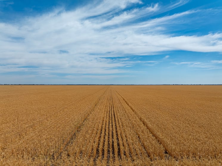 278 Daenke Road Jerilderie NSW 2716 - Image 1