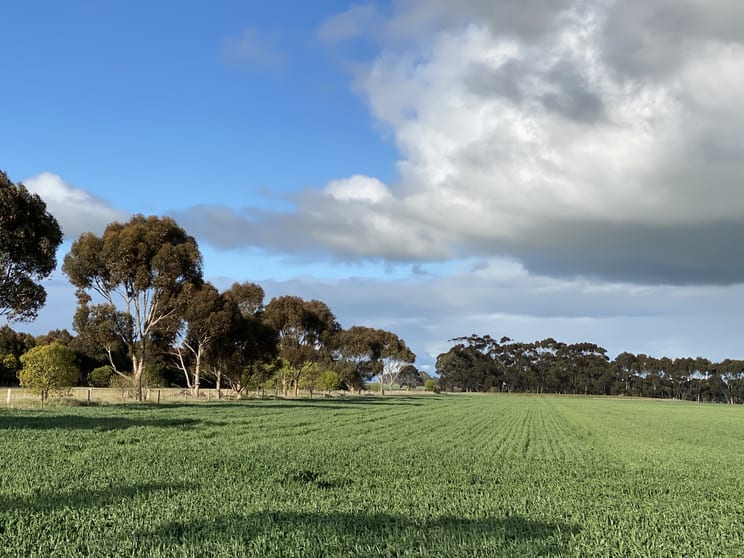 Click to view all images 1205 Lower Darlington Road Lismore VIC 3324 - Image 2