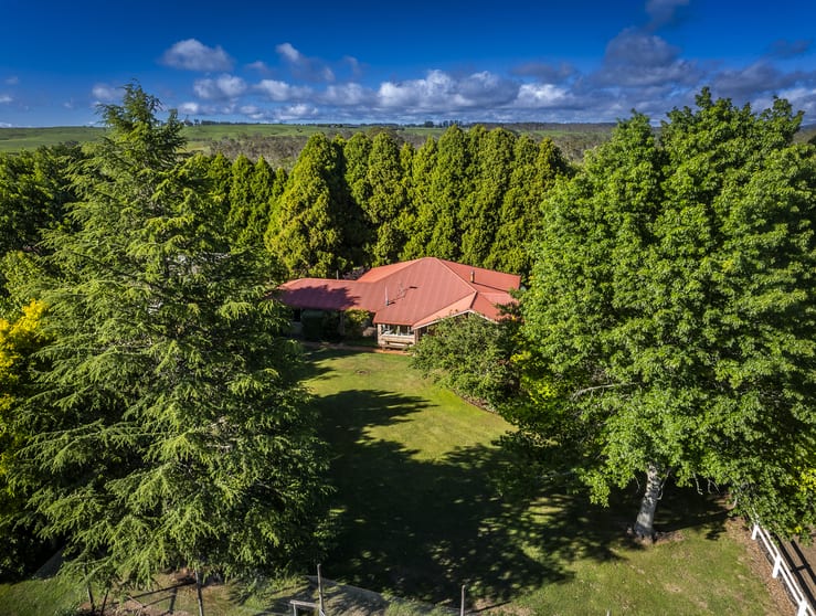 Click to view all images 8691 Waterfall Way Road Ebor NSW 2453 - Image 2