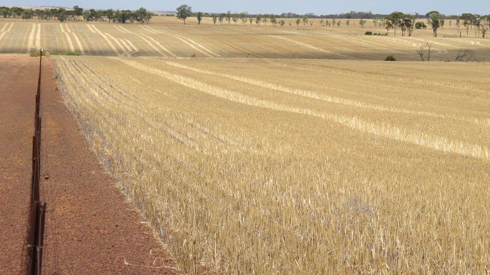 Click to view all images Glen Waddi, Waddy Forest Coorow WA 6515 - Image 3